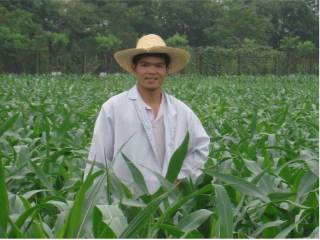 corn field.png
